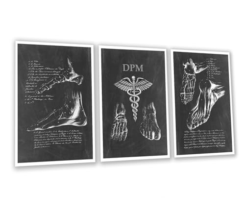 Gnosis Picture Archive DPM Medical Foot Anatomy Wall Art, Set