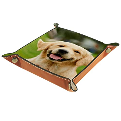 Preisvergleich Produktbild Ledertablett,Leder Hund Tablett,Taschenleerer Tablett für Aufbewahrungsschlüssel-Münzen-Schmu...
