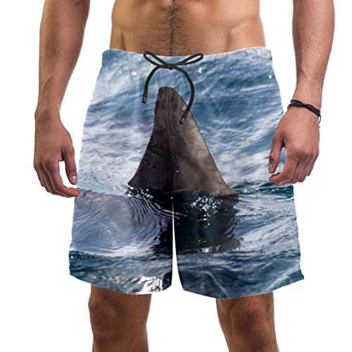 Short de plage séchage rapide JDEZ pour hommes à motif aileron de requin