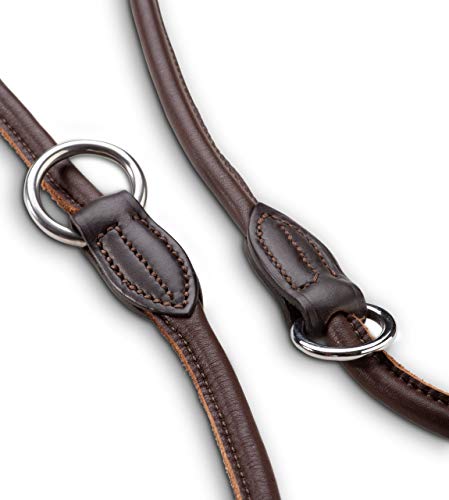 Premium Leder Hundeleine Dora 2,0m - Hunde Leder Leine mit Karabiner - verstellbar Dora (Braun)