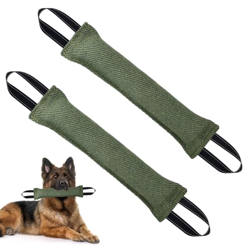 2Pz Manicotto per Cani 30cm Giocattolo per Cani Salsiccia Salsicciotto Cane Addestramento per Il Gioco Cuscino da Morso Interattivi per Can i con 2 Maniglia per l'Addestramento o per il Gioco (Verde)