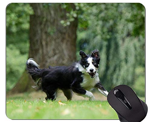 Niedliche Hundewelpen-Lüge aus den Grund Mausunterlage, Border-Collie-Mausunterlage Matte