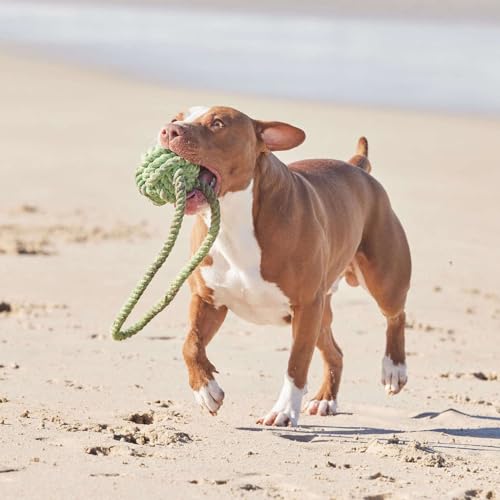 Image of Dog Rope Toys, Puppy Chew Toys for Small Medium Large Breeds, Nature Teething Toy for Dental Health (7 Toys Combo Set)