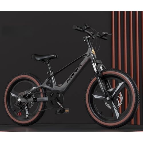 TImDu�q���p���]�ԁA18/20/22�C���`�A�Ռ��z�����]�ԁA�ω׏d100kg ���y�ʁA�}�O�l�V�E���������}�E���e���o�C�N�A�j�̎q�A���̎q�A���w���A���w���ɓK���Ă���A�X����ʋ΂ɂ����g�����������܂� (�l�r�����O���[ + ��̌^�σM�A�z�C�[��,20