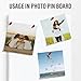 Golden State Art, White Foam Boards 25 Pack 11x17 Foam Core Board, 1/8