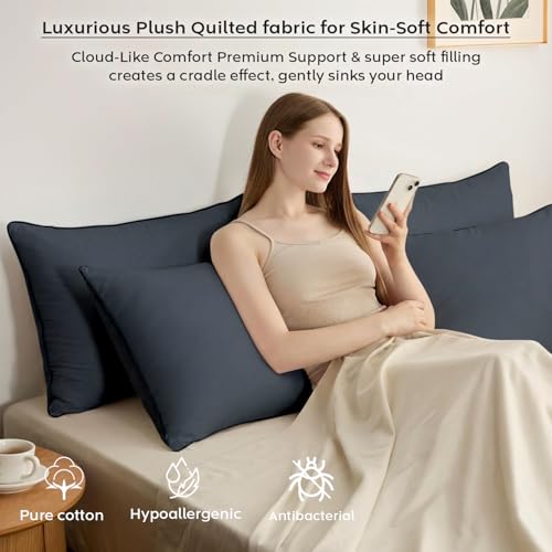 Image of AYKA Premium Microfiber Pillow for Sleeping | Super Soft & Fluffy Bed Pillow | 100% Virgin Microfiber Filling | Hypoallergenic, Breathable | Ideal for All Sleeping Positions 16x24 | Grey | Set of 2