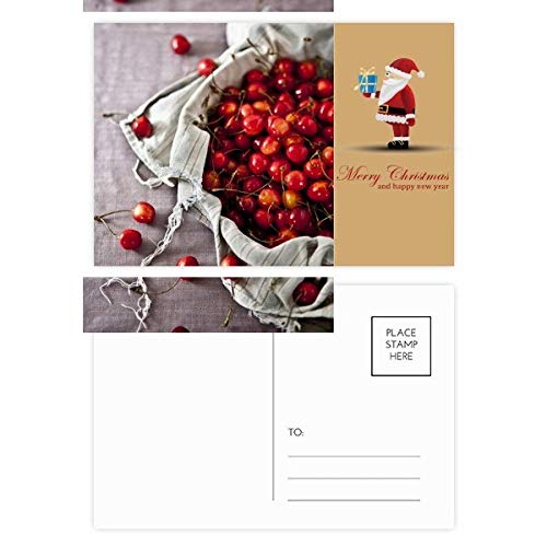 Cartes postales Père Noël lot de 20 correspondance hiver fruits rouges