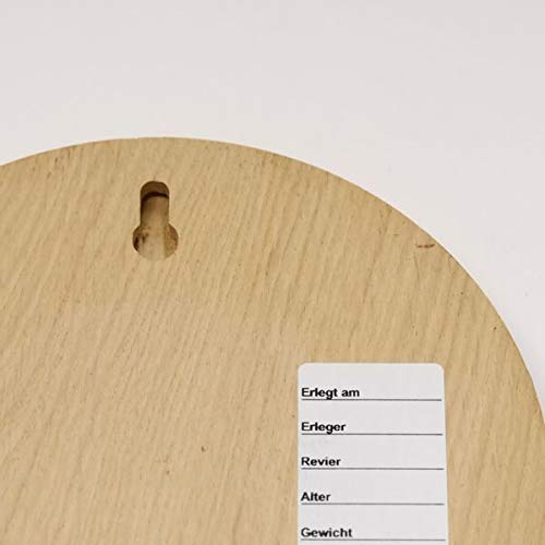 GTK Oferta 10 placas de cuña redondas de roble claro AF 15 cm tabla cuña, tabla de especias, cartel para trofeos con 10 hojas de roble