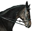 frei wählbar in den Größen Vollblut und Warmblut