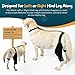 YENBOLOI Dog Knee Brace Dog ACL Brace Hind Leg Dog ACL Knee Brace with Extra Collar and Support Treats Kneecap Dislocation Arthritis