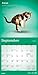 Yoga Kittens OFFICIAL | 2026 7 x 14 Inch (Hanging) Monthly Mini Wall Calendar | BrownTrout | Animals Humor Cats Feline