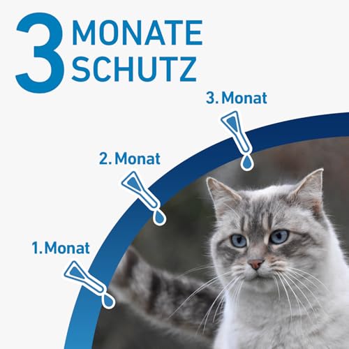 FRONTLINE Spot ON Katze gegen Zecken, Flöhe & Haarlinge (für Jede Größe & Gewicht) - 3X Pipetten für bis zu 3 Monate Schutz - wasserfest