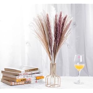 LINOFY Natural Dried Pampas Grass , 30pcs including 12 pcs white, 6 pcs brown and 12 pcs of hossu grass For Home Decor…