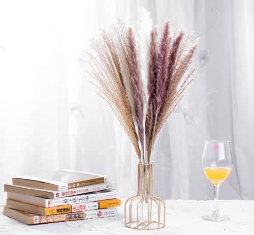 LINOFY Natural Dried Pampas Grass , 30pcs including 12 pcs white, 6 pcs brown and 12 pcs of hossu grass For Home Decor…