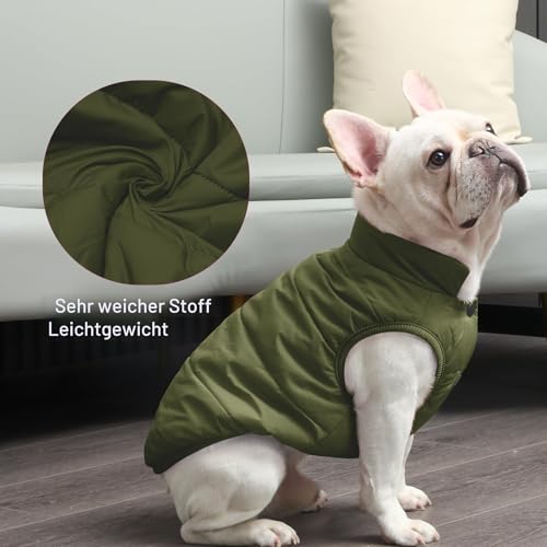 JoyDaog Fleece Hundejacke für Winter kaltes Wetter, Extra Weicher Hundemantel für Kleine Hunde, Winddichte Welpen Weste, Grün XS