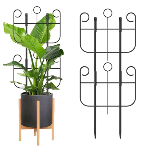 2 Pack Trellis for Climbing Plants Indoor, Expandable Heavy-Duty Metal Trellis for Potted Plants Outdoor, Flowers Vine Ivy, Sturdy Houseplant Pothos Plant Climber Support