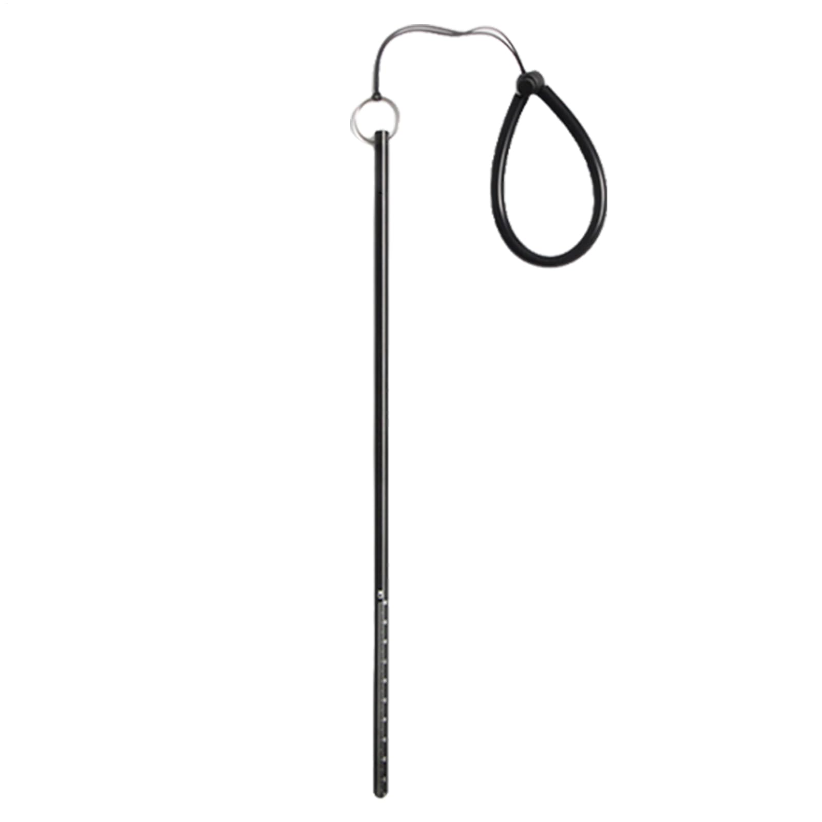 Generisch Varilla de inmersión, fabricante de ruido de inmersión – Aleación de aluminio Lobster Tickle Pointer Stick Buceo Varilla – Sonorizado portátil submarino – Accesorios de buceo para aventuras