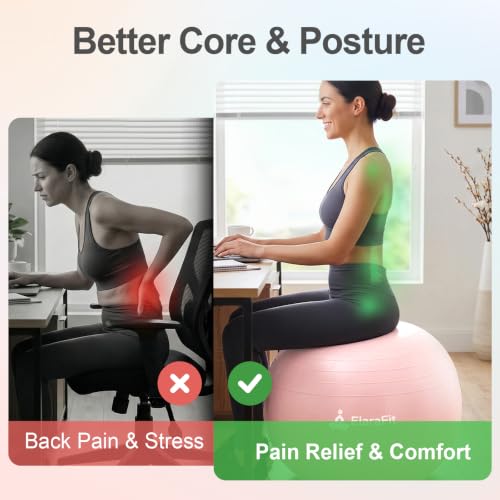 Image of Anti Burst Large Exercise Ball for Yoga Non Slip Pilates Ball with Pump 550 lbs Capacity for Pregnancy, Fitness Size L 23 to 26 inches, About 58 to 65cm