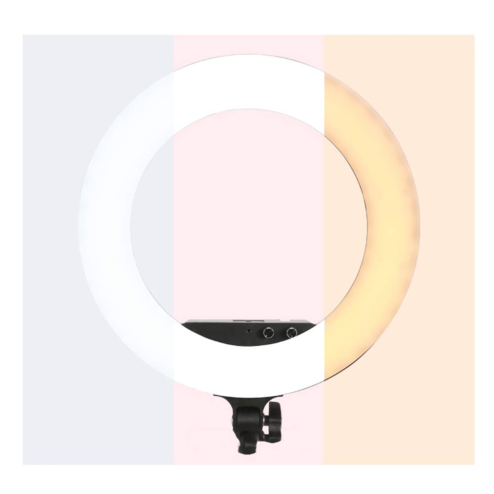 Anello Luminoso a LED da 18 Pollici con Supporto per treppiede e Supporto per Telefono Kit di Illuminazione ad Anello dimmerabile Alimentato Tramite USB Anello Luminoso per Selfie per Video Youtube