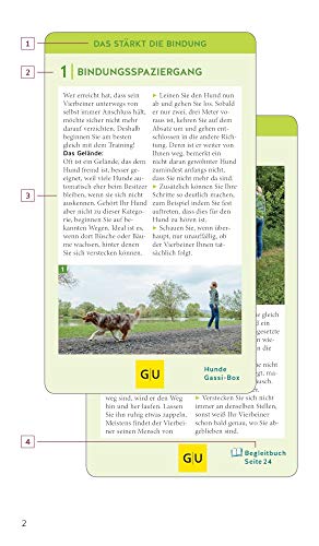 Hunde-Gassi-Box: Für ein entspanntes Zusammenleben! Plus Täschchen für Gassi-Beutel (GU Hundeerziehung)