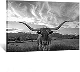 KREATIVE ARTS Black and White Texas Animal Canvas Wall Art Highland Cattle with Long Horns Picture Longhorn in Sunset Farm Painting for Home Decor Modern Living Room Decorations 24x36in