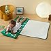 beeweed Toddler Nap Mat, Rollup Design Kid Sleeping Mat with Removable Pillow & Minky Blanket, Toddler Sleeping Bag for Daycare Preschool Travel Camping, Dinosaur