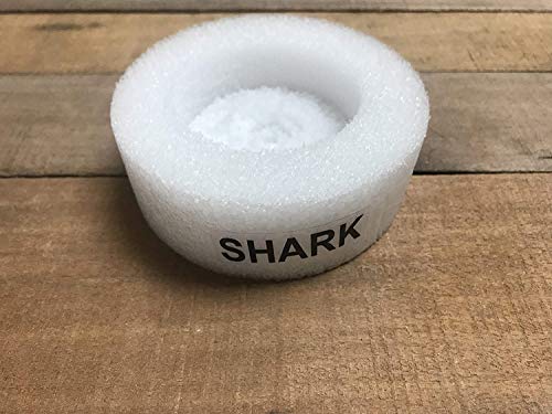 The Shell Connection 06353 Real Shark In A Bottle Jar, Marine Specimen Taxidermy thumb #4