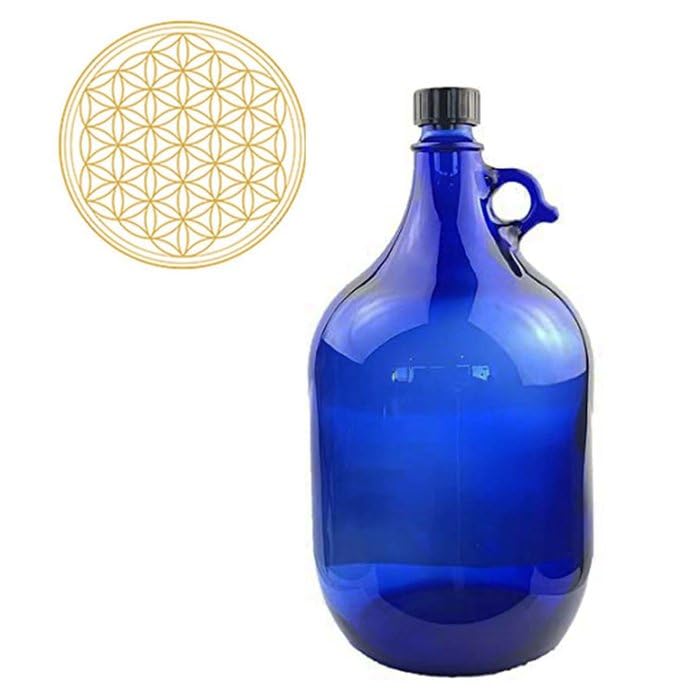Albert’s Premium Selection Fruchtwein-Starterkit – Mit Glasballon, Hefe & Zubehör
