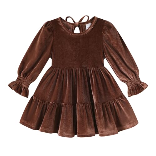 Toddler Girl Velvet Princess Party Dress (1-6T)