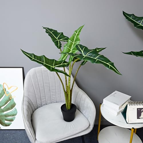 [LJKI] NYC  140cm tFCNA A a O[ lHϗtA tFCNO[ z[ ItBXp Q Lb` ^ ϗtA A ϗt ~ Mtg v[g j ϗA sv yg