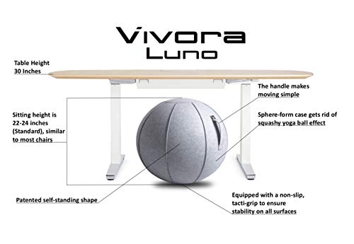 Vivora Luno - Sitting Ball Chair for Office, Dorm, and Home, Lightweight Self-Standing Ergonomic Posture Activating Exercise Ball Solution with Handle & Cover, Classroom & Yoga