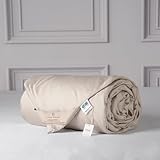 CUDDLE DREAMS Lightweight Silk Filled Comforter for Summer, Detachable Tencel Duvet Cover for Easy Care, Naturally Breathable (Light Pewter, King)