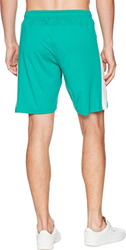 Image of Puma Men Shorts