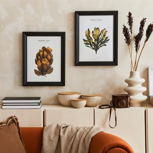 Image of 60 Pcs Adhesive Picture Hanger Wall Plate Holders Plastic Picture Hanging Hooks Vertical Sticky Photo Hooks Without Nails Plate Holder for Home Photo Frame Wall Art