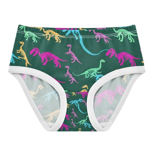 Dinosaur Skeletons Toddler Girls's Underwear 2T 202c1762