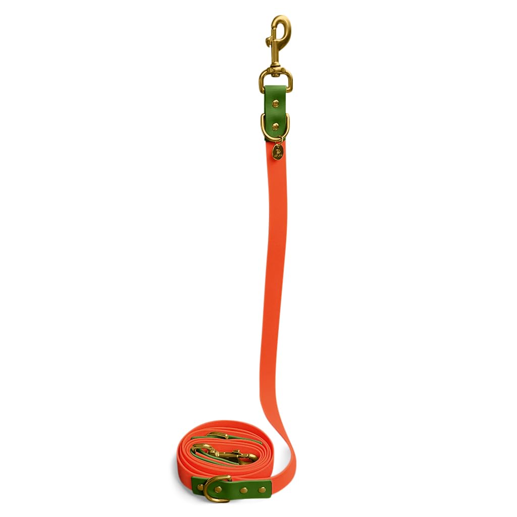 Correa para Perros Hey Lana, Correa de Paseo Ajustable, con 2 mosquetones y 3 Posiciones, Correa de adiestramiento, Correa de tracción, Correa Manos Libres (S, Naranja/Verde, 230cm x 1,5cm)