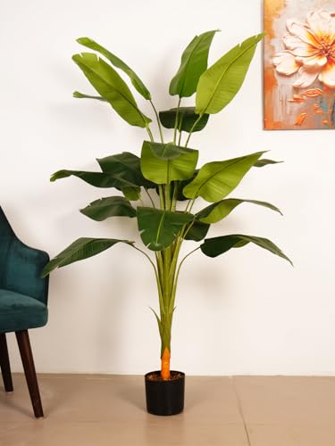 Image of ARICK DECOR 5Ft Artificial Bird of Paradise Tree in Pot, 5ft Realistic Faux Lush Green Banana Leaf Silk Plant, Peacock Shaped Large Floor Decor for Home, Office & Balcony