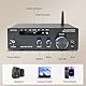 Hifi-Verstärker, 2000W Mini hifi Verstärker, 2.0-Kanal 100W*2 Bluetooth 5.3 TPA3116 Stereo-Audioverstärker, Digitale Endverstärker Soundverstärker,OPT/AUX/USB -Karteneingang, für Zuhause oder Auto