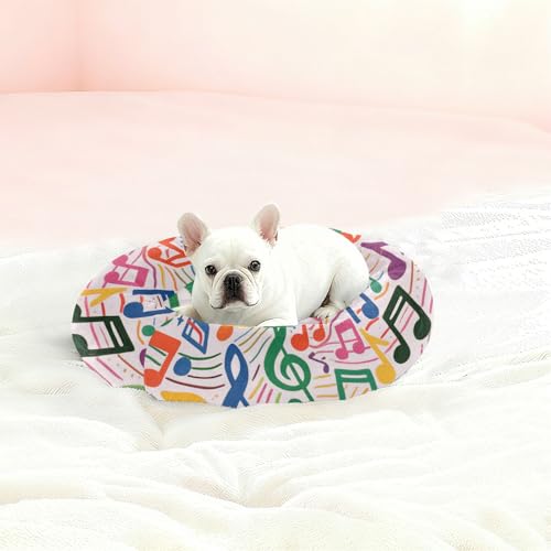 Coussin pour animaux de taille M lavable idéal pour éliminer les odeurs - 3