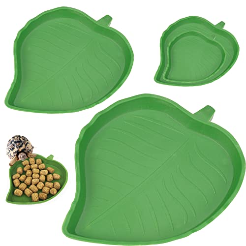 2PC Bol D'Alimentation Pour Reptiles, Accessoires Pour Tortues, Nourriture Pour Bol Pour Reptiles En Feuilles, Bol à Boire Pour Maison De Tortue, Bol D'Eau Pour Reptiles Pour Tortues, LéZards,Hamsters