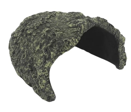SIzlaho JpvbgtH[ABƁAA^JpoȂAJpAGAA঒ޗpP[XA呢AApBƁA (A)