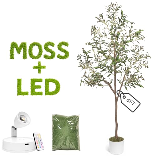 Olive Trees Artificial Indoor 6FT Tree with Rechargeable LED Spotlight, Decorative Moss & Weighted...