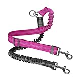 Connecteurs pivotants à 360 degrés : équipés de joints rotatifs qui permettent un mouvement fluide et empêchent la torsion lors des promenades multi-chiens, assurant une expérience confortable pour les animaux de compagnie tout en maintenant le contrôle du manipulateur dans les zones occupées