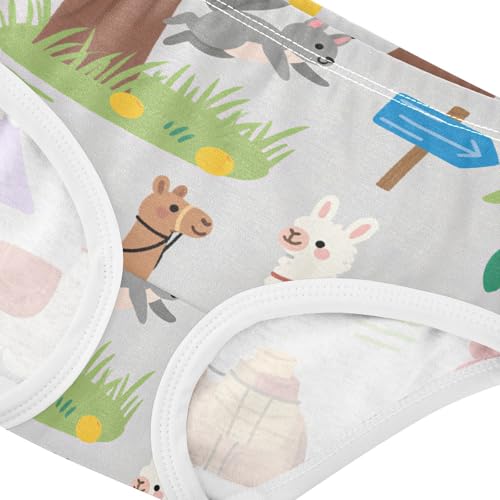 GuoChe Briefs Elastic Waistband Panties Organic Underwear for Toddlers in Sizes 2T,3T, 4T, 5T, 6Y and 8Y4