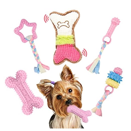 BAEJMJK 5 Pack Puppy Teething Toys Cute Pink Dog Chew Toys for Small Dogs Soft Rubber Puppy Toys Set Plush Squeaky Dog Toys for Cleaning Teeth Interactive Pet Doggy Bone Toys
