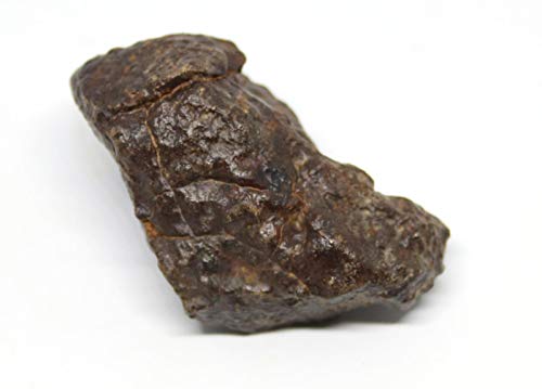 Fossils, Meteorites, & More Moroccan Meteorite B Grade Chondrite Genuine 67.4 Grams w/Color Card 15499 6o