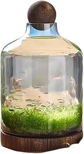 ScifimpȃKX̋Ɩؐ̃X^hBi␅k͔|ƌ݊A̋KXōĂAɗDfUCŁAɓKĂA⏬ȔMы̂ɍœKłB