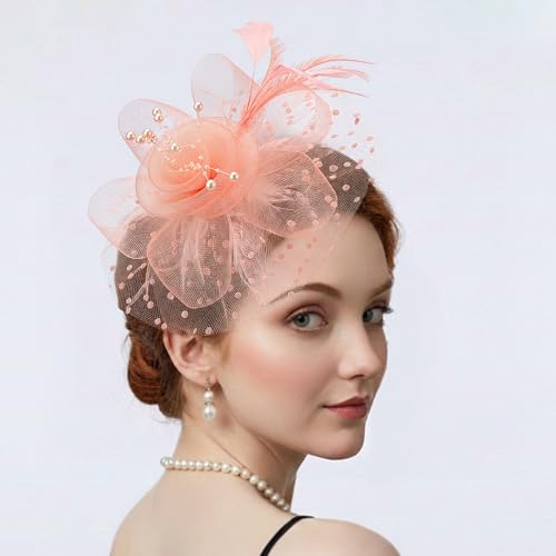 Image of DRESHOW Fascinators Hat Flower Mesh Ribbons Feathers on a Headband and a Clip Tea Party Headwear for Girls and Women
