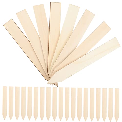 TOYANDONA 50 Piezas etiqueta de planta de madera decorativo marcadores etiquetas vegetales señales interior etiqueta de nombre de jardín etiqueta de vivero signo de maceta