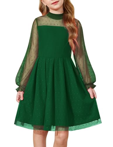 Arshiner girls dress with contrast mesh puff long sleeve mock neck